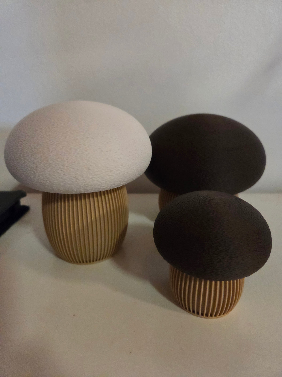 3D-Printet svampe